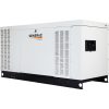 Generac Protector Series Home Standby Generator — 60kW, LP/NG, 120/240 Volts, Single Phase, CARB Compliant, Model# RG06045ANAC